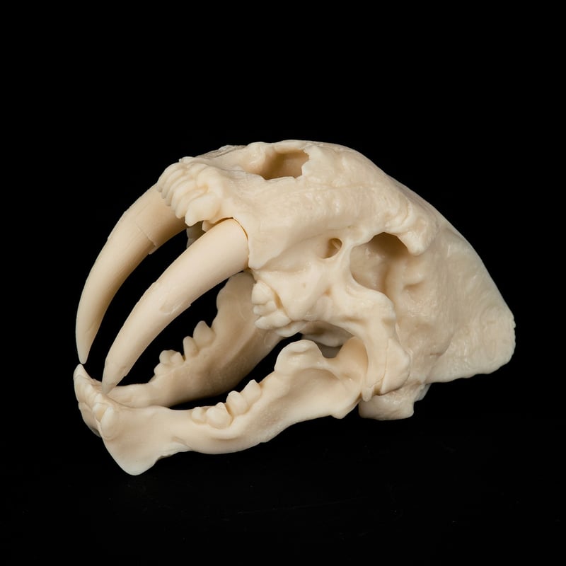 Prusament Resin BioBased60 Ivory White 1kg - Bild 4