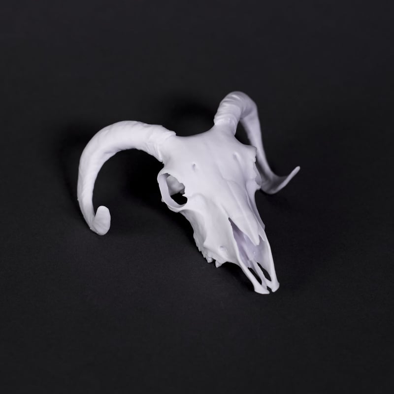 Prusament Resin Model Alabaster White 1kg - Bild 5